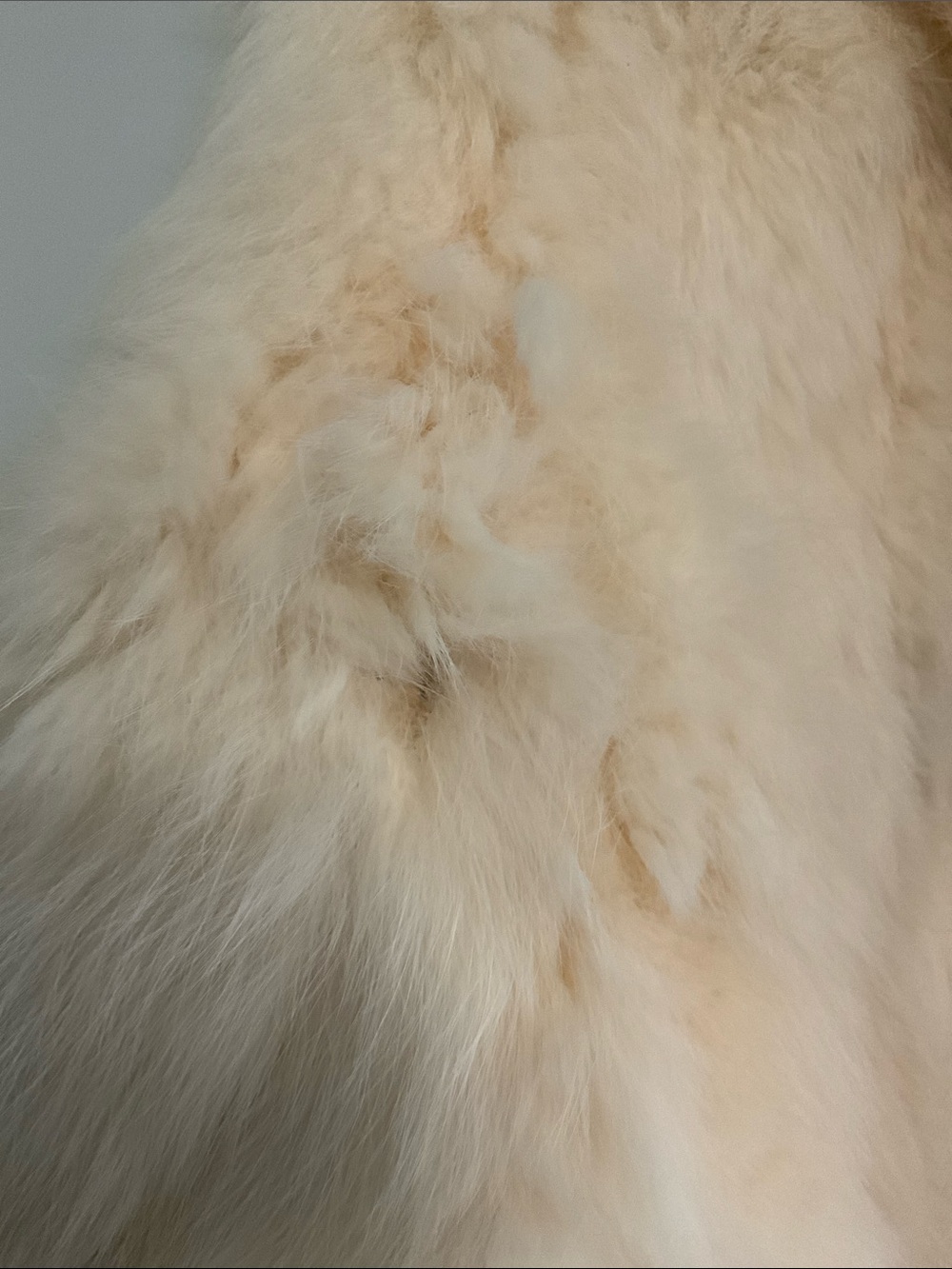 NWT Luxury Real Rabbit Fur Cream Vintage Coat - Stylish Warm Jacket - Picture 8 of 16